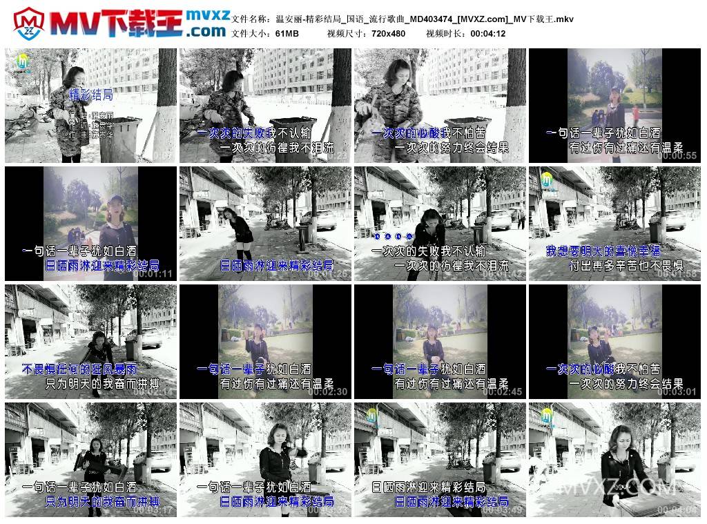 温安丽-精彩结局_国语_流行歌曲_MD403474